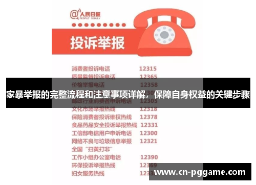 家暴举报的完整流程和注意事项详解，保障自身权益的关键步骤