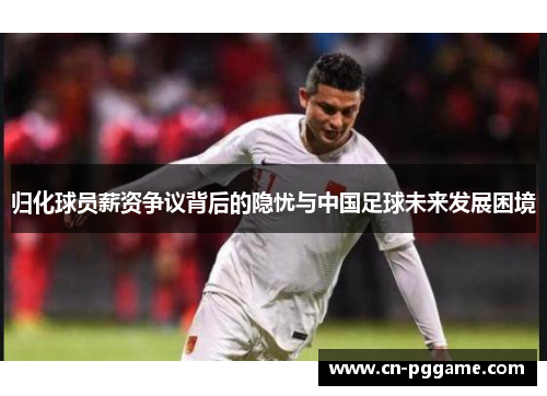 归化球员薪资争议背后的隐忧与中国足球未来发展困境
