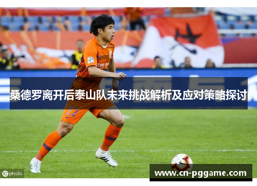 桑德罗离开后泰山队未来挑战解析及应对策略探讨