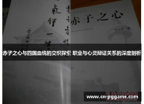 赤子之心与四国血统的交织探索 职业与心灵辩证关系的深度剖析