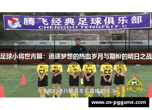 足球小将世青篇：追逐梦想的热血岁月与期盼的明日之战