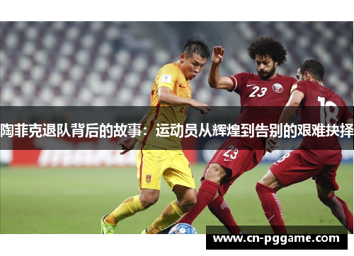 陶菲克退队背后的故事：运动员从辉煌到告别的艰难抉择